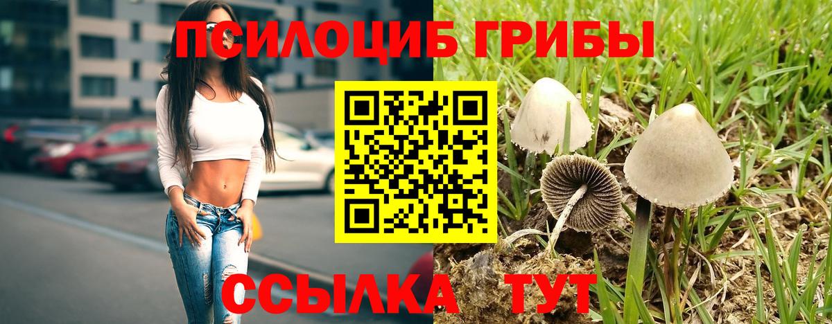 Псилоцибиновые грибы мухоморы Каменка