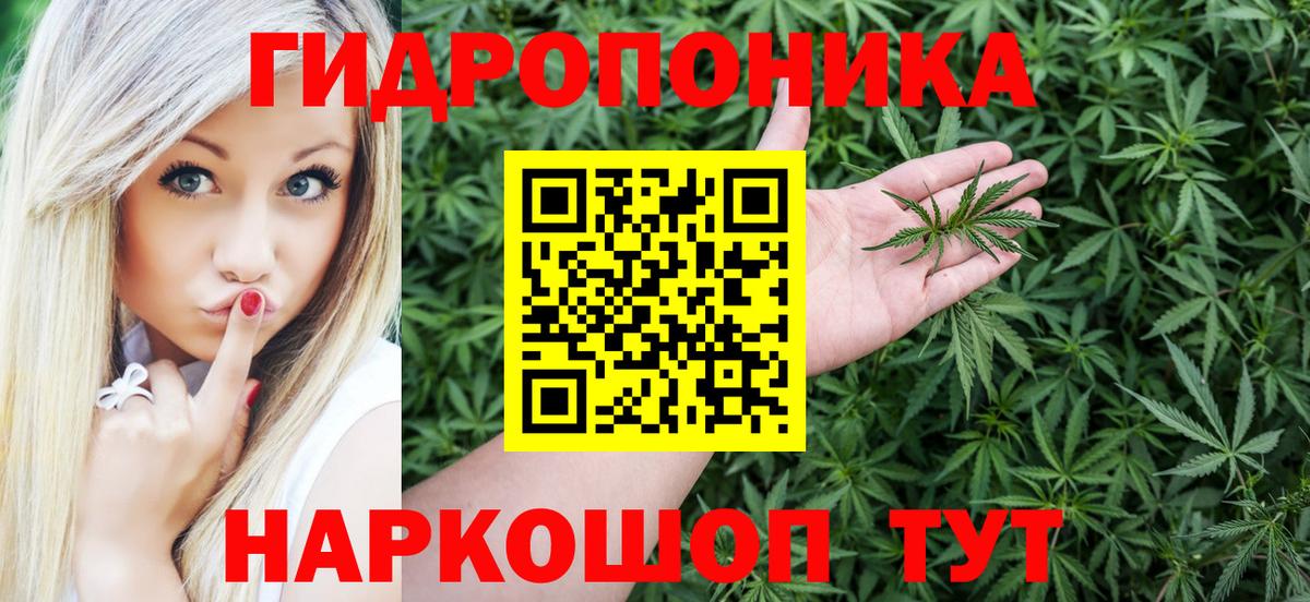 Марихуана White Widow Каменка